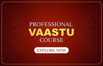 PROFESSIONAL VAASTU
